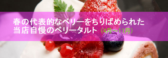 Css Template Preview