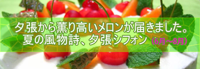 Css Template Preview