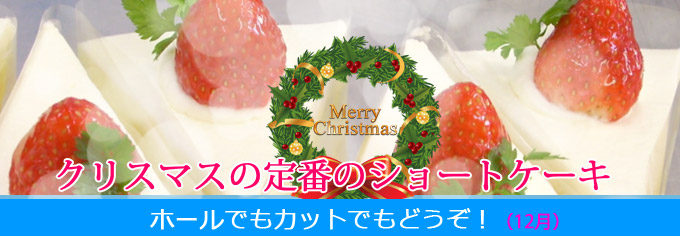 Css Template Preview