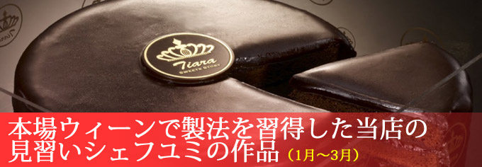 Css Template Preview