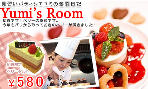 ゆみの奮闘日記